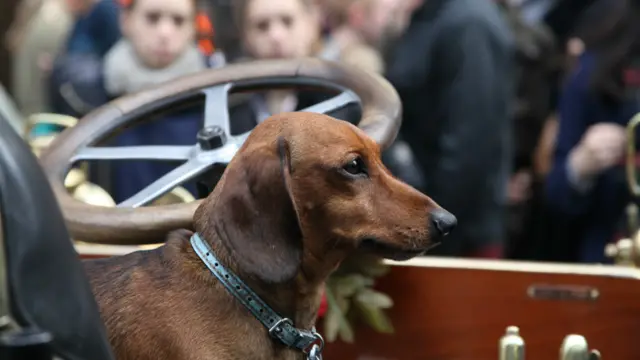 Фото Марка Григоряна