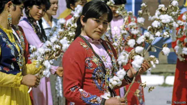 Современные специалисты в Узбекистане считают, что насаждение монокультуры хлопка в советское время привело к катастрофическим для экологии последствиям