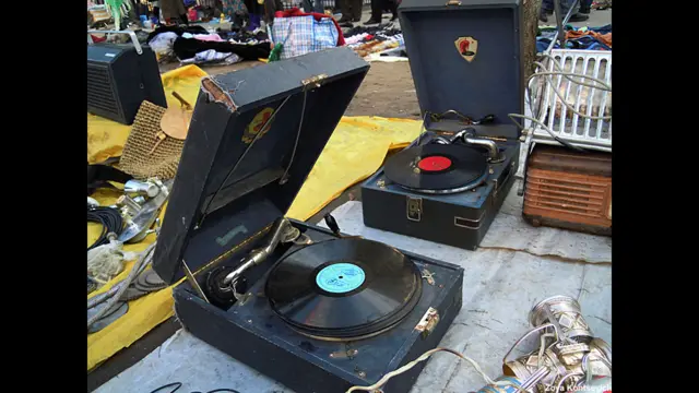 Фото: Зоя Концевич 