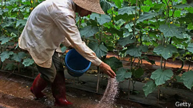 Mujer echando fertilizante