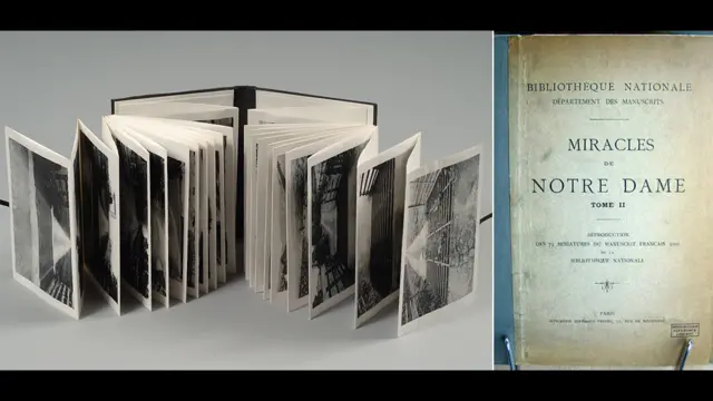 Artista: Stephen Livingstone