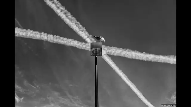 एक दूसरे को काटती लकीरें