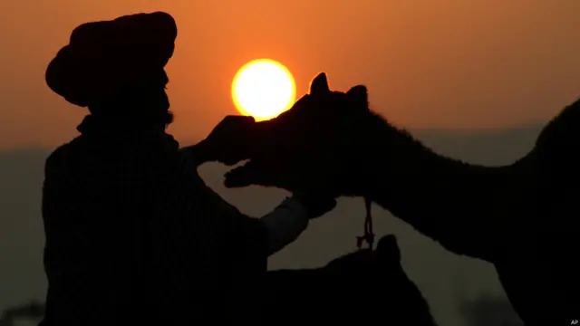 पुष्कर मेला