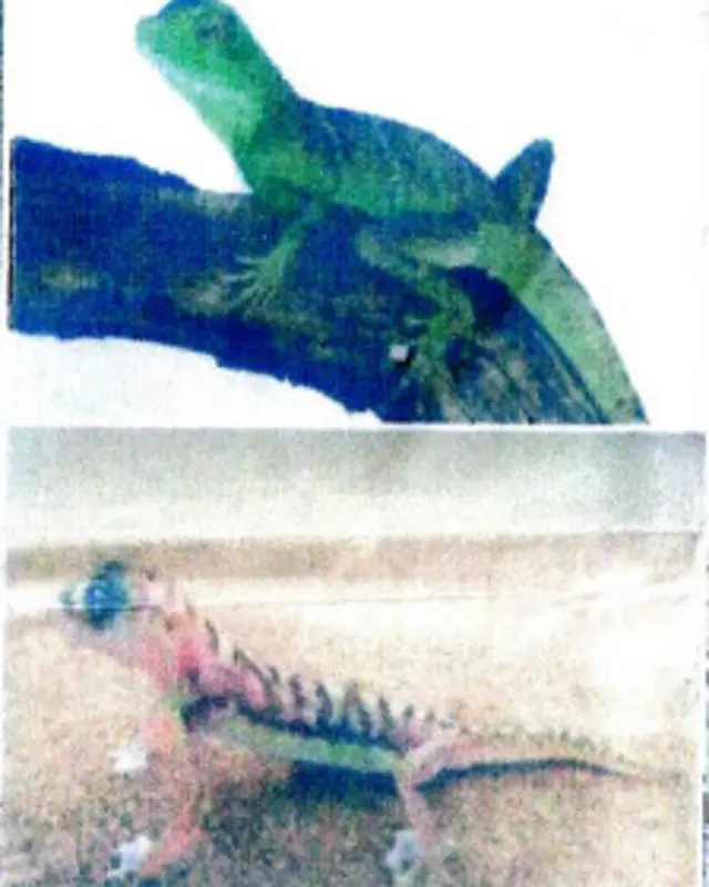 عکس از اداره حفاظت از محیط زیست افغانستان