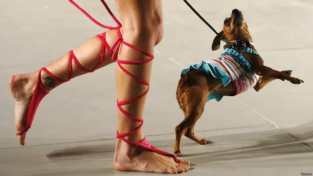 कुत्तों के साथ कैट वॉक की ऐसी ही एक प्रतियोगिता कुछ हफ्ते पहले लंदन फैशन वीक के दौरान हुई थी. 