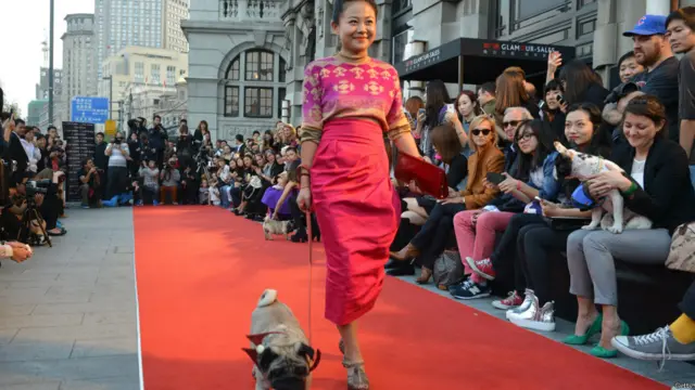 मॉडल ऑड्रे झाओ अपने पग डबिंग के साथ कैटवॉक में हिस्सा लेती हुई.