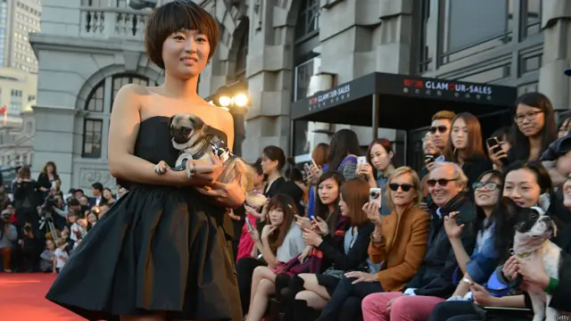 कुछ मॉडल्स ने कैट वॉक के दौरान अपने कुत्ते को गोद में उठा लिया था. तस्वीर में नज़र आ रही मॉडल जिंजर क्सू अपने पग पैट के साथ.