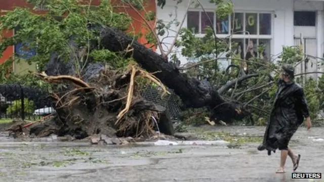 درختی در شهر سیبو، مرکز استانی به همین نام در اثر توفان بر زمین افتاده است