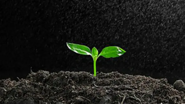 له دې سړي نه غم جانان او غم روزګار دواړو ترې يو شاعر جوړ کړو