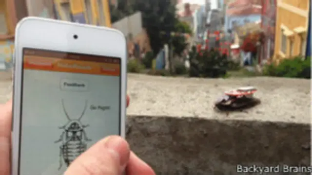 Software controla baratas equipadas com 'mochila eletrônica' (foto: Backyard Brains)