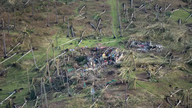 Samar bölgesindeki Guiuan kentinde ise tayfun hindistan cevizi ağaçlarına da zarar verdi.