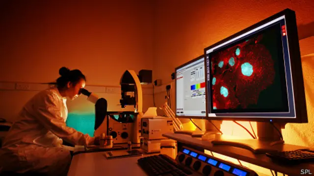 Investigadora de cáncer