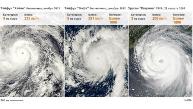 Сравнение тайфунов