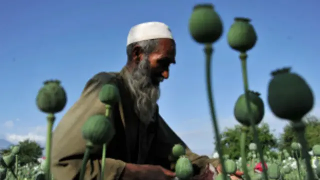 په غونډه کې د پاکستان، ایران، تاجکستان، ازبکستان، چین او ترکمنستان استازو ګډون کړی 