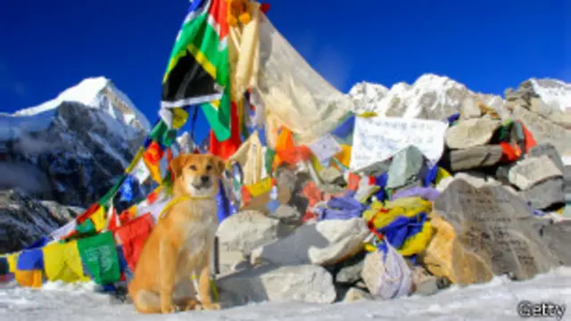 Rupee en el campamento base de Everest