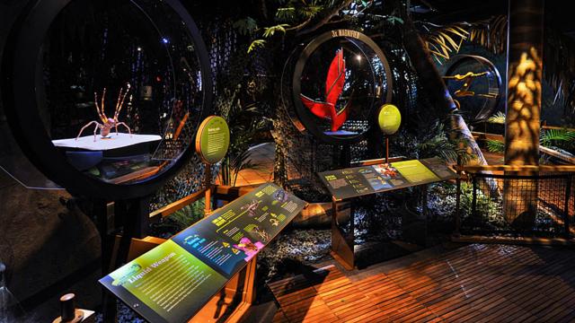 Mostra no American Museum of Natural History apresenta animais e plantas tóxicas e casos famososestrela bet grupo whatsapp aviatorenvenenamento na História, literatura e mitologia