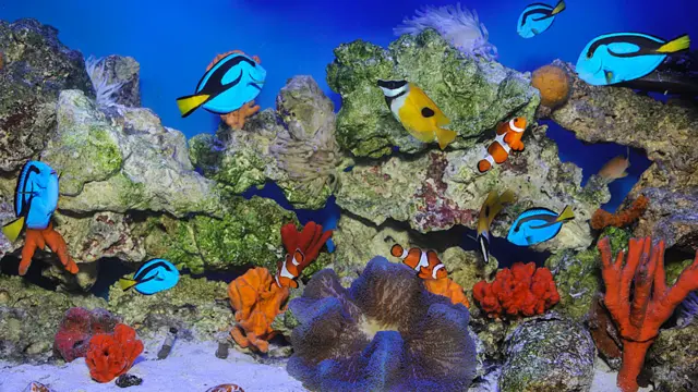 Mostra no American Museum of Natural History apresenta animais e plantas tóxicas e casos famosos de envenenamento na História, literatura e mitologia