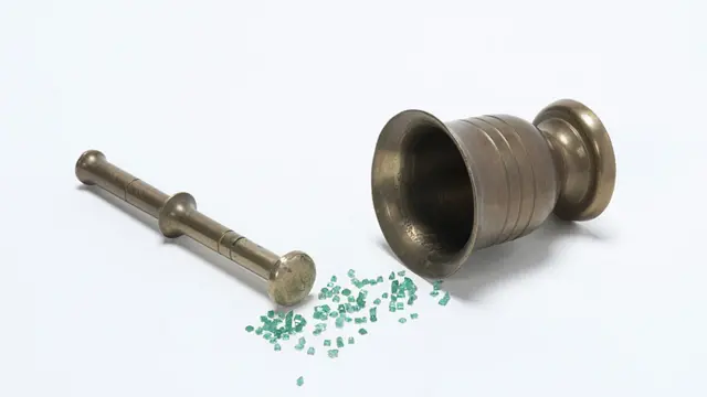 Mostra no American Museum of Natural History apresenta animais e plantas tóxicas e casos famosos de envenenamento na História, literatura e mitologia