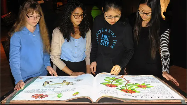 Mostra no American Museum of Natural History apresenta animais e plantas tóxicas e casos famosos de envenenamento na História, literatura e mitologia