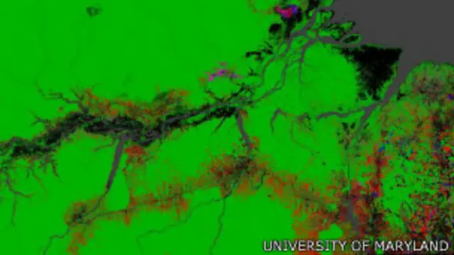 Amazônia. Foto: University of Maryland