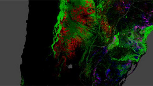 Mapa global interactivo de la deforestción