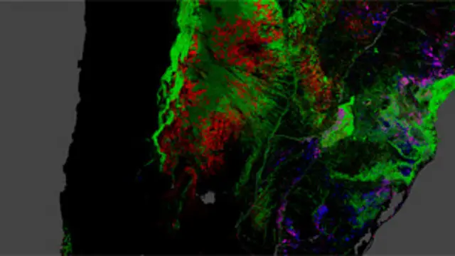 Mapa global interactivo de la deforestción
