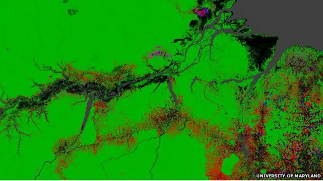 Mapa global del cambio forestal