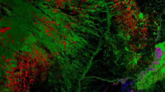 يستخدم النظام الجديد تقنيات الحوسبة السحابية في خدمتي "جوجل ماب" و"جوجل إيرث" 