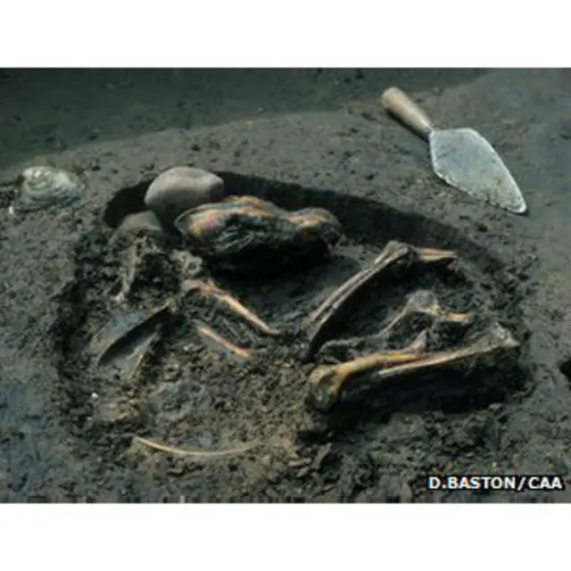 Рештки собаки