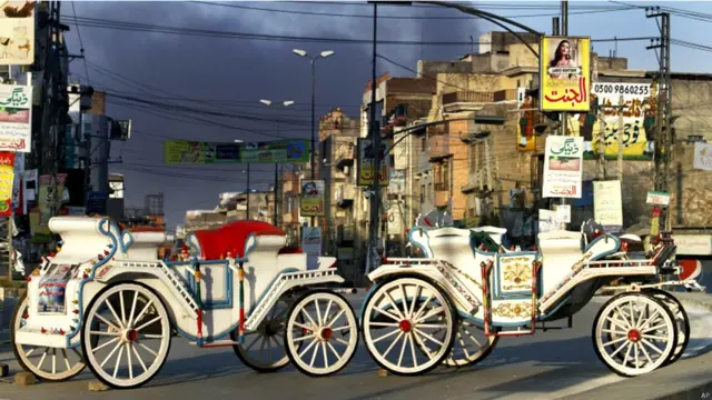 وزیرِ اعلیٰ شہباز شریف نے راولپنڈی واقعے کا نوٹس لیتے ہوئے کہا کہ وہ لاہور ہائی کورٹ سے درخواست کریں گے کہ اس واقعے کی تحقیقات کسی سینیئر جج کی نگرانی میں کروائی جائیں۔