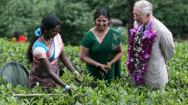 Prince Charles in a tes estate