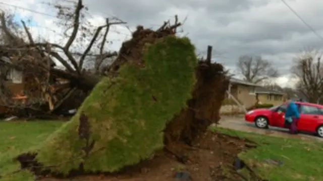أدت العواصف القوية إلى تسوية المنازل بالأرض واقتلاع العديد من الأشجار في ولايات ايلينوي وكنتاكي وانديانا