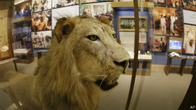 Лев в Далласе