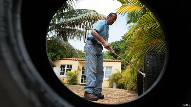 Hombre en Florida recoge datos de la larva del mosquito Aedes aegypti