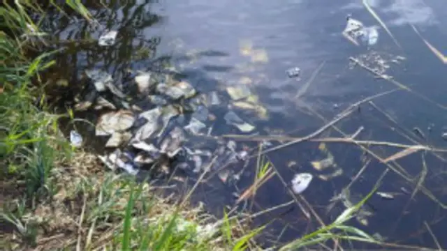 Шістдесят тисяч фунтів - це майже 800 000 гривень