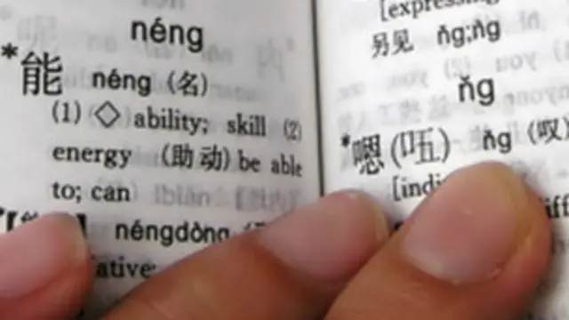 इरोनोमुस के लिए सबसे मुश्किल मैंडरिन भाषा सीखना था.