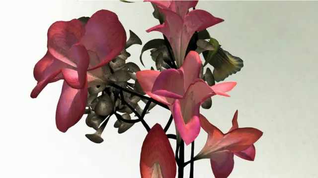 ہر فن پارہ ریاضی کے دو فارمولوں پر مبنی ہوتا ہے۔ پہلا پھول کی شکل و صورت بناتا ہے اور دوسرے فارمولے سے رنگوں کا تعین کیا جاتا ہے۔