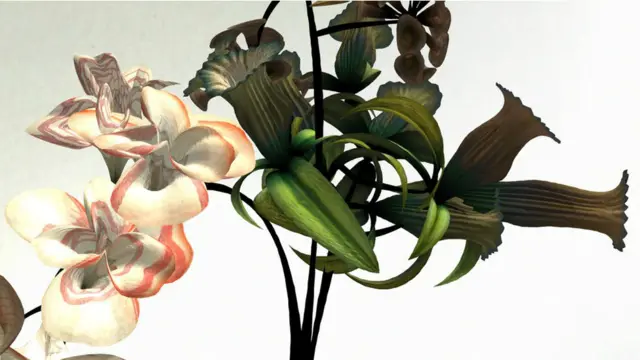 ڈینیئل براؤن ایسے کمپیوٹر پروگرامز کا استعمال کر رہے ہیں جن میں ویڈیو گیمز بھی بنائی جاتی ہیں تاکہ ’ٹائم لیپس‘ کی تکنیک کا استعمال کیا جا سکے اور دیکھنے والا ان پھولوں کو سکرین پر کِھلتا ہوا دیکھ سکے۔ 