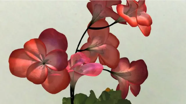 وہ کہتے ہیں کہ ڈیجیٹل پھول بنانے میں مہارت حاصل کرنا ان کا مقصد نہیں تھا اور شروع میں انہوں نے صرف اس سافٹ ویئر کو اچھی طرح سیکھنے کے لیے اس پر پھول بنانے شروع کیے تھے۔