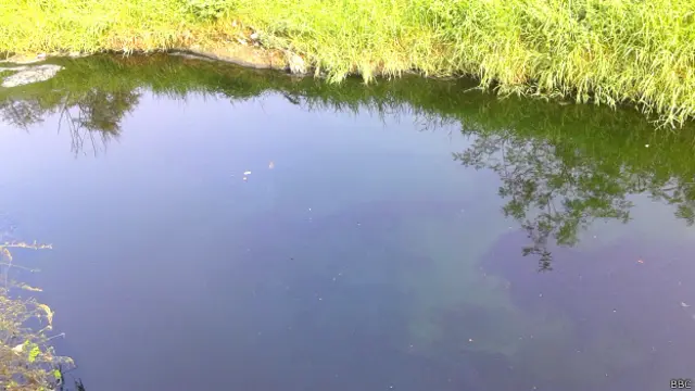 उल्हास नदी