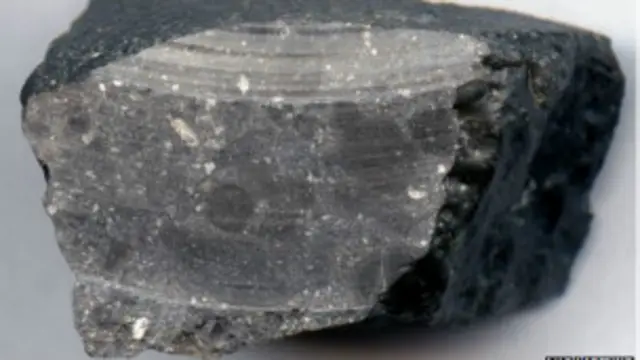 سیاہ حسن نامی مریخ کے اس ٹکڑے کی عمر 4۔4 ارب سال بتائی جا رہی ہے