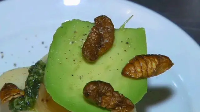 ගෝත්රික සමාජවලට පමණක් සීමා වී තිබූ කෘමි ආහාර