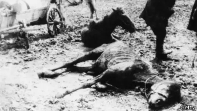 Голодомор на Белгородщине. 1934 год