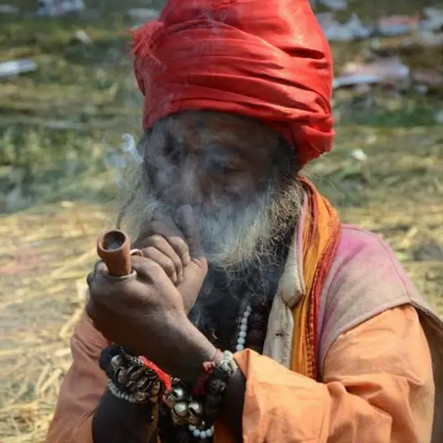 सोनपुर मेला, बिहार 