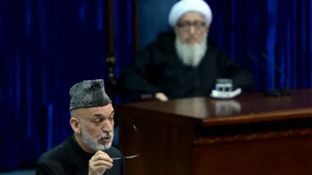 阿富汗总统卡尔扎伊，2013年11月24日