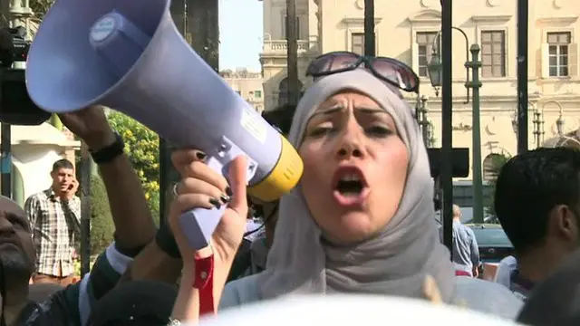 د بشري حقونو مصري ټولنو دغه قانون مخکې له دې چې په تېره یکشنبې یې ولسمشر لاسلیک کړي، غندلی دی.