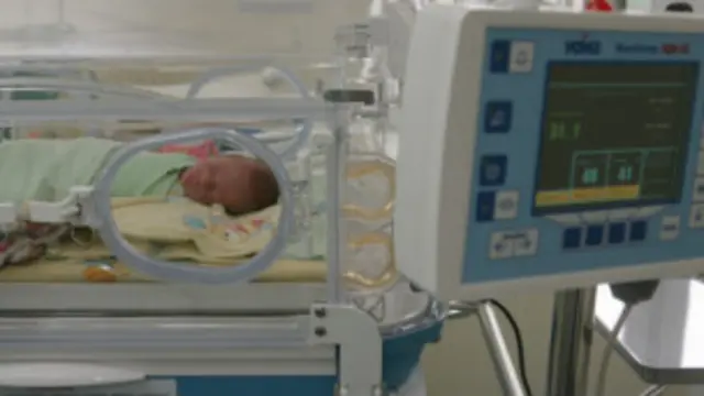 NDda Sasha Grey jinsiy aloqa video