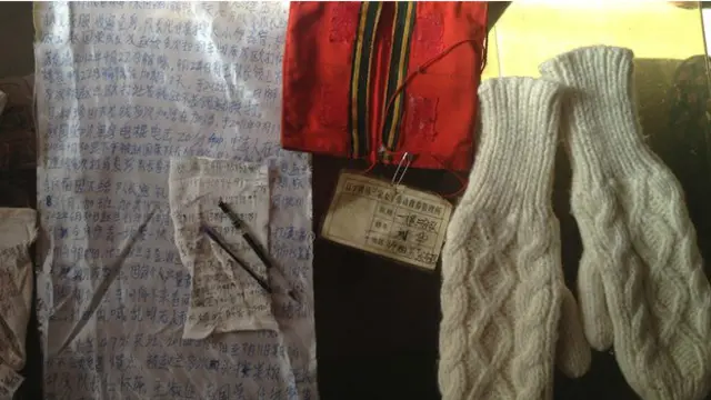 लियू हुआ की डायरी