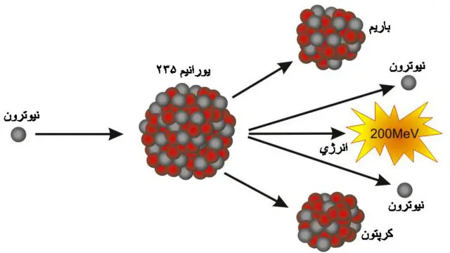 ‌ د هان او ملګرو د څېړنو خبر ډېر ژر د دوی له خړ پړ لابراتواره د نړۍ له سترو وچو او سمندرونو تېر شو او هر ګوټ ته ورسید.