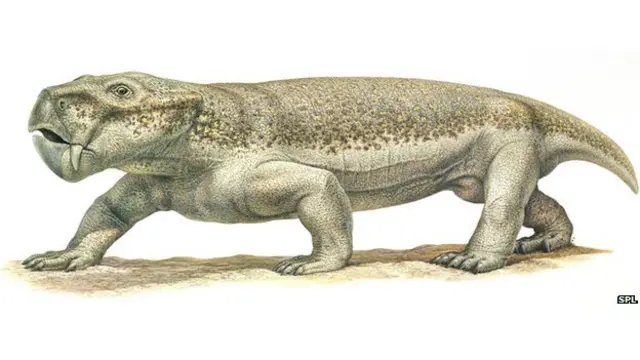 करीब आठ मीटर लंबे किसी ऐसे जीव के मौजूद होने की संभावना जताई गई है.